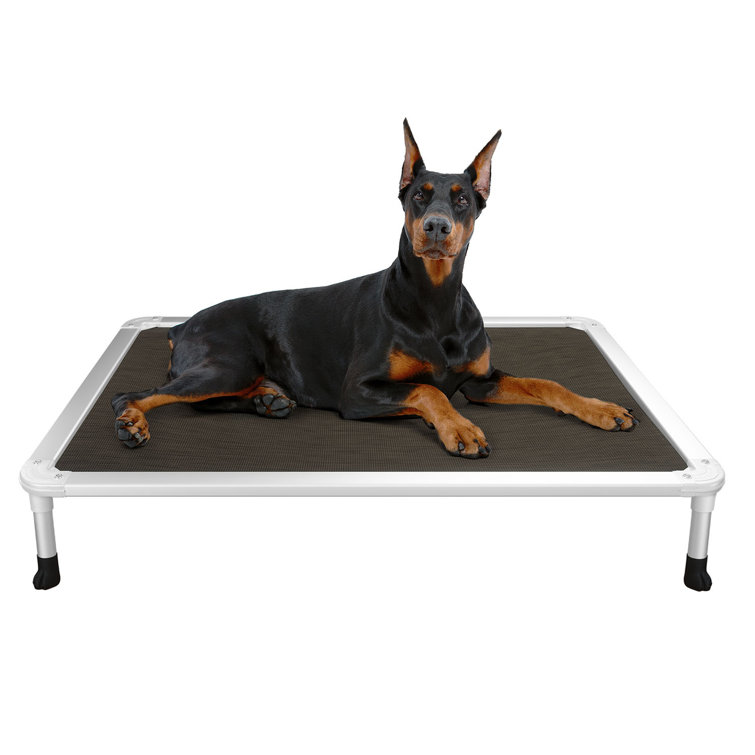 Cooling cot deals for dogs